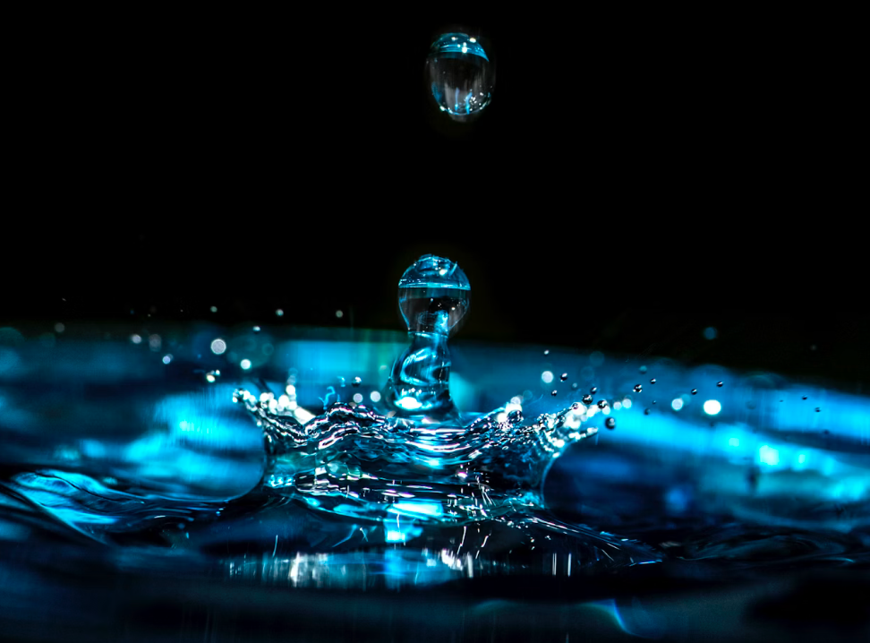 The Rising Wave of Protein Water: Why It’s Your Next Go-To Drink