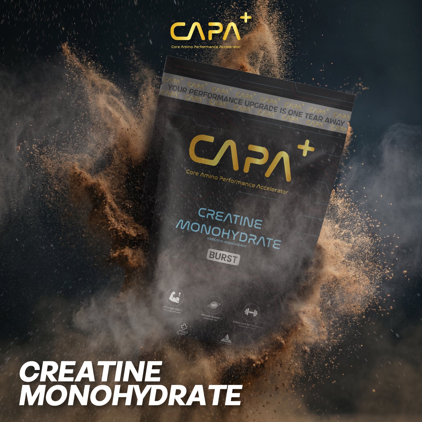 Creatine Monohydrate