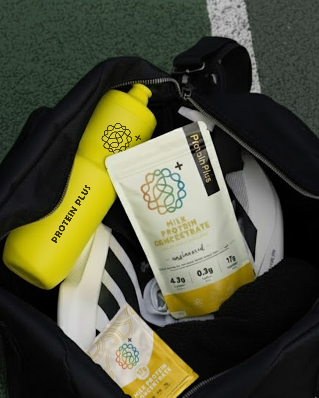 Proteinplus